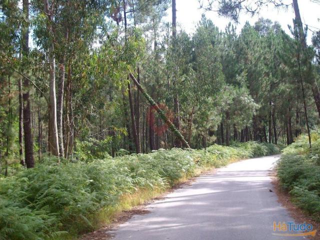 Terreno venda em Monção, Viana Do Castelo