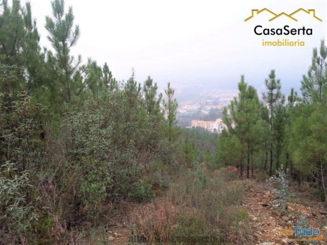 Terreno venda em Castelo Branco, Cumeada