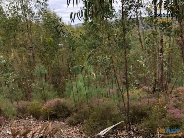 Terreno venda em Pedrógão Grande, Leiria