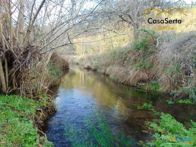 Terreno venda em Castelo Branco, Cumeada