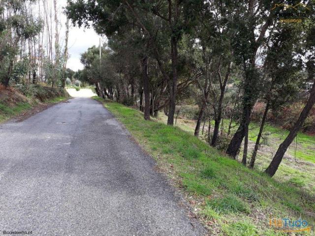 Terreno venda em Castelo Branco, Cumeada