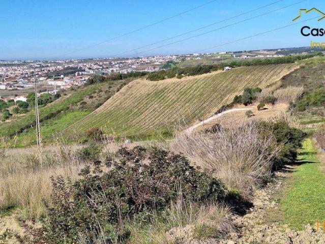 Terreno venda em Torres Vedras, Lisboa