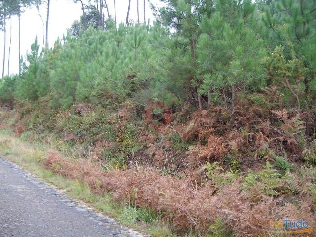 Terreno venda em Monção, Viana Do Castelo