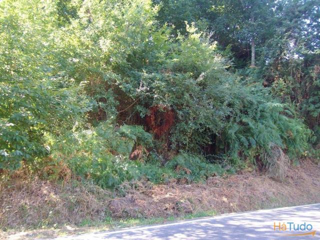 Terreno venda em Melgaço, Viana Do Castelo