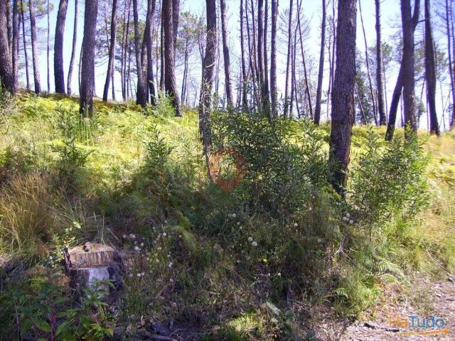 Terreno venda em Monção, Viana Do Castelo