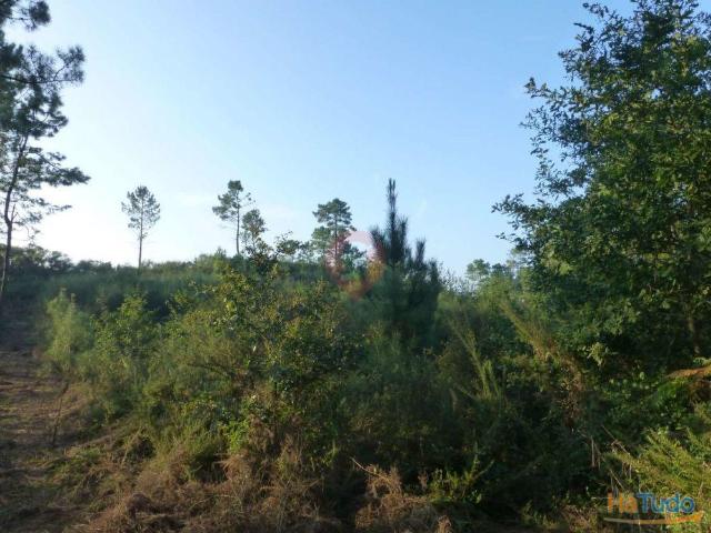 Terreno venda em Monção, Viana Do Castelo
