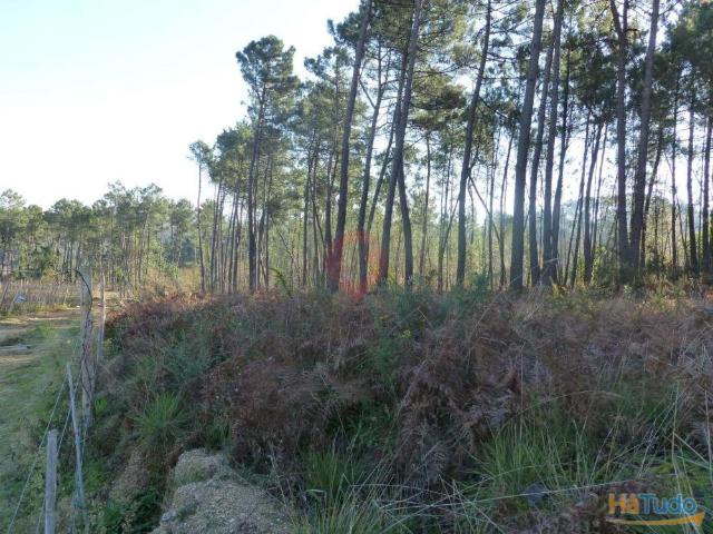 Terreno venda em Monção, Viana Do Castelo