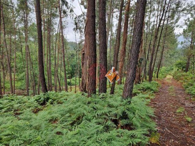 Terreno venda em Monção, Viana Do Castelo