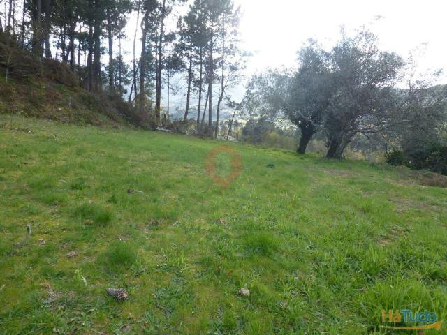 Terreno venda em Monção, Viana Do Castelo