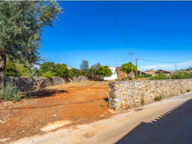 Terreno venda em Torres Novas, Santarém