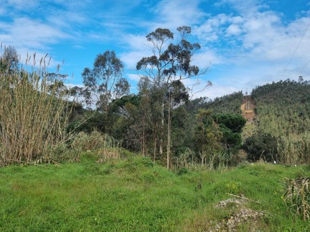 Terreno venda em Coimbrã, Brasfemes