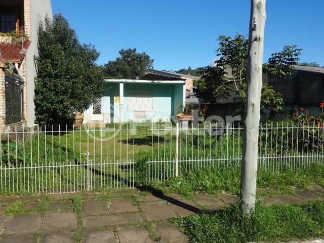 Terreno venda em Campo Novo, Porto Alegre