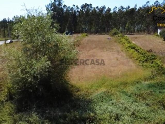 Terreno venda em Pombal, Almagreira