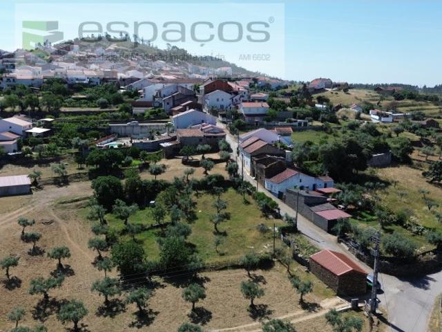 Terreno venda em Castelo Branco