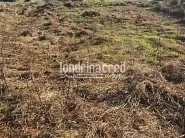 Terreno venda em Região Geográfica Imediata de Londrina, Londrina