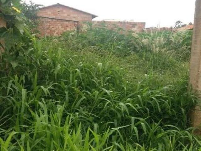 Terreno venda em Região Geográfica Imediata de Pará de Minas, Pará de Minas