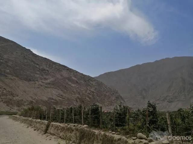 Terreno venta en Canete, Lima Metropolitana