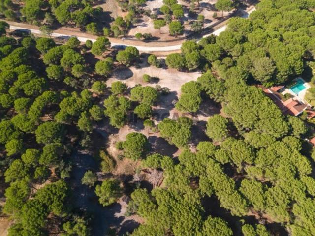 Terreno venda em Benavente, Santarém