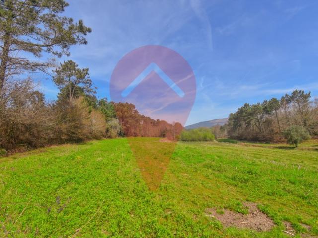 Terreno venda em Valença, Viana Do Castelo