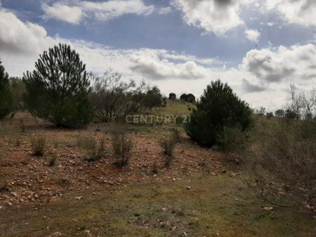 Terreno en venta en El Mirador del Cerro Gordo, Tierra de Badajoz