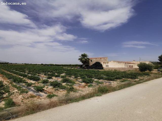 Casa en venta en el Baix Segura / La Vega Baja, Valencia