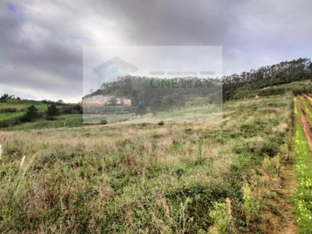 Terreno venda em Torres Vedras, Lisboa