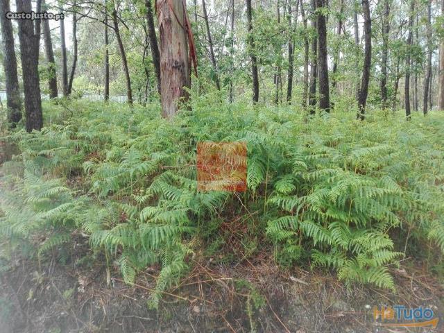 Terreno venda em Arcozelo, Braga