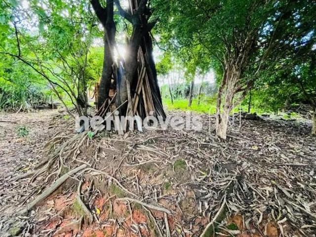 Terreno venda em Região Geográfica Imediata de Belo Horizonte, Região Metropolitana de Belo Horizonte