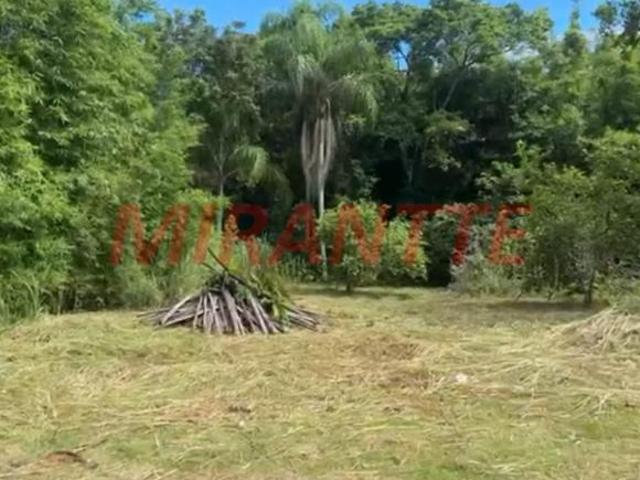 Terreno venda em Região Imediata de Registro, Iguape