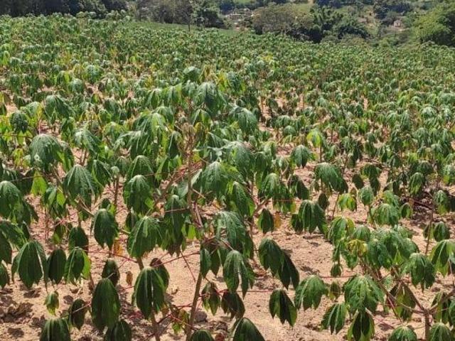 Terreno venda em Piracema