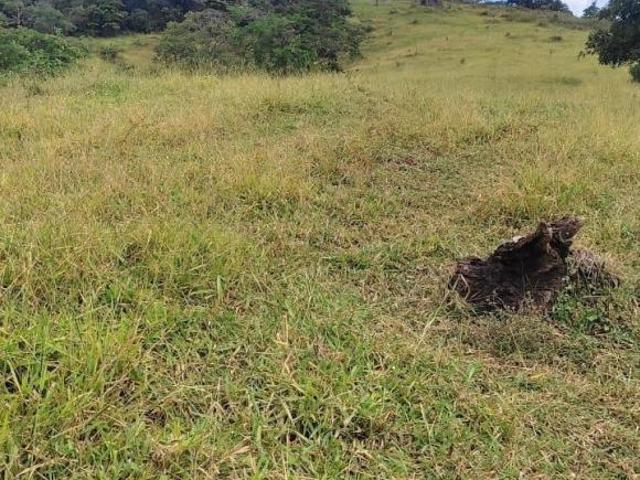 Terreno venda em Região Geográfica Imediata de Oliveira, Piracema