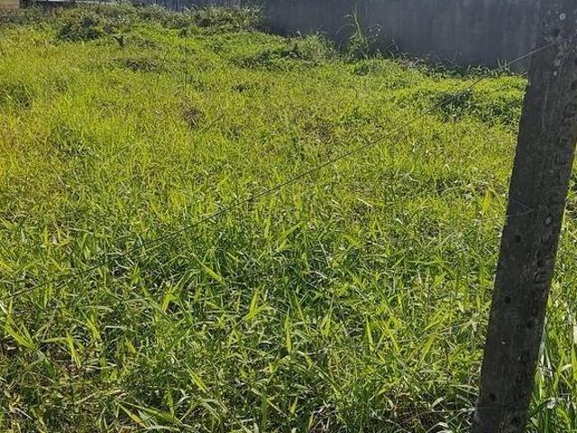 Terreno venda em Região Geográfica Imediata de Paranaguá, Matinhos