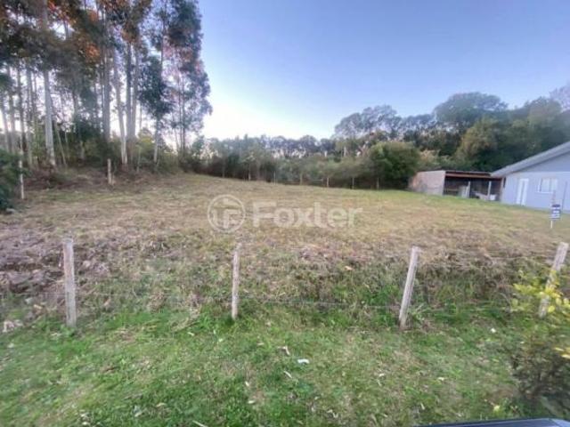 Terreno venda em Região Geográfica Imediata de Caxias do Sul, Flores da Cunha