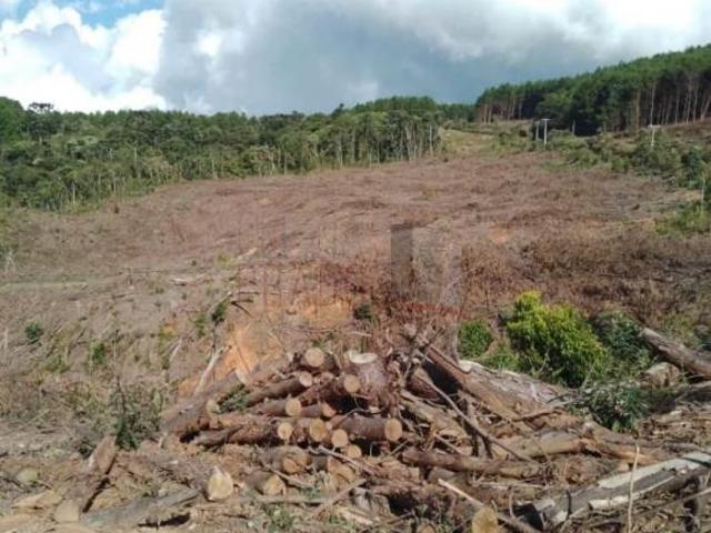Terreno venda em Região Geográfica Imediata de Pouso Alegre, Camanducaia