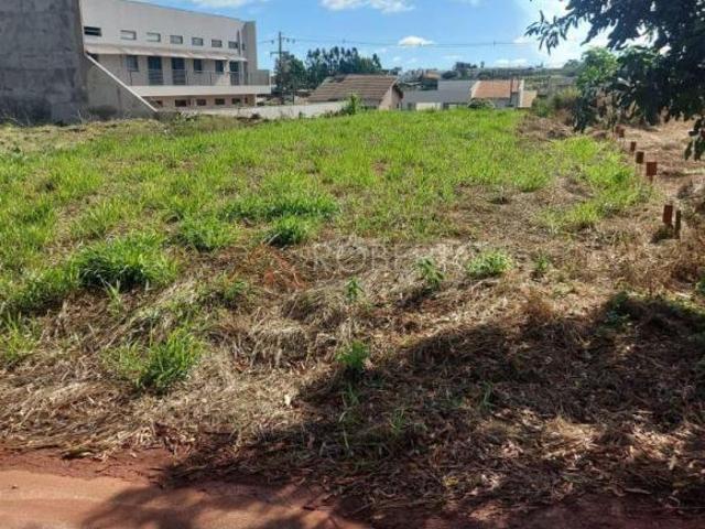 Terreno venda em Região Geográfica Imediata de Paranavaí, Paranavaí
