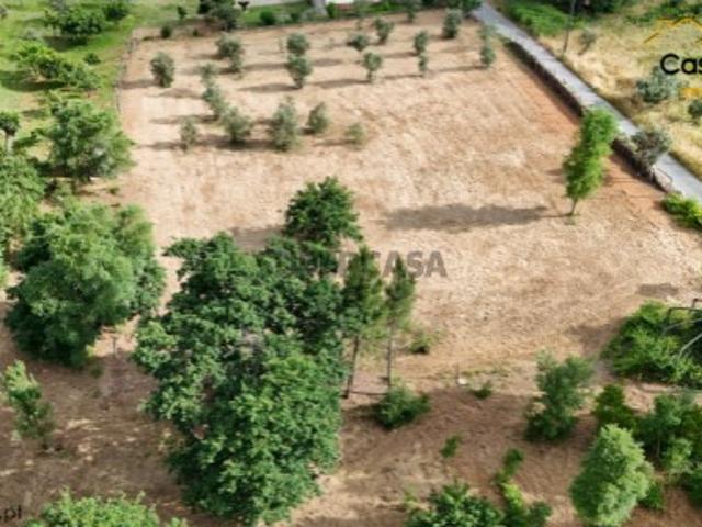 Terreno venda em Pedrógão Grande, Leiria