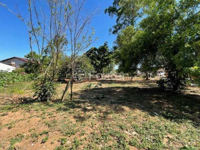 Terreno venda em Itacolomi, Gravataí