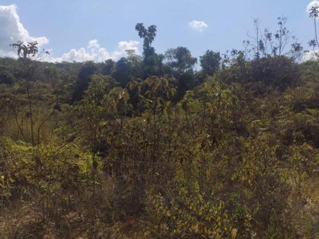 Terreno venda em Região Geográfica Imediata de Gurupi, Formoso do Araguaia
