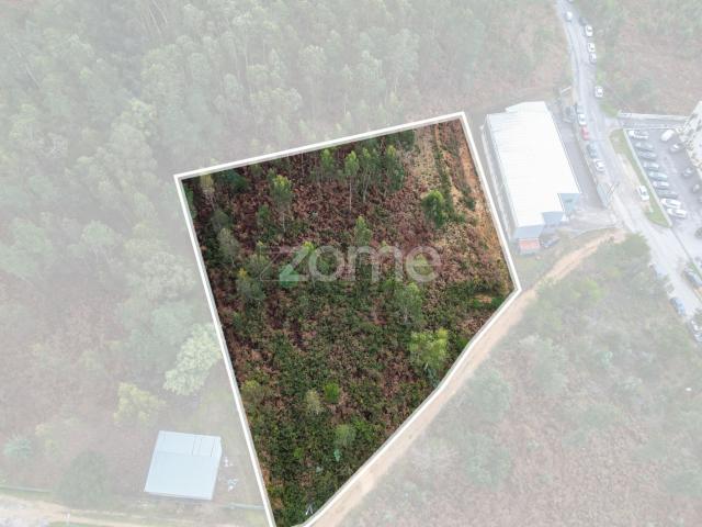 Terreno venda em Alto do Moroiço, Oliveira De Azeméis