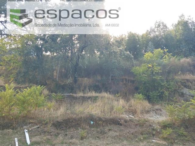 Terreno venda em Castelo Branco