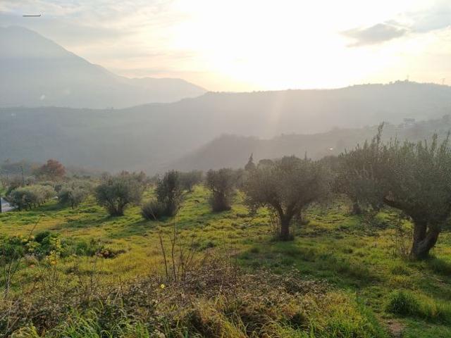 Terreno in vendita a Lapio, Campania