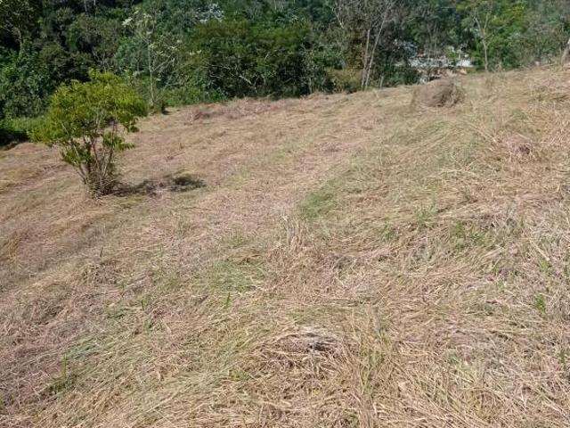 Terreno venda em Santa Isabel