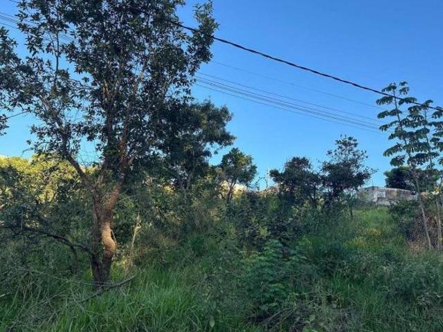 Terreno venda em Região Geográfica Imediata de Lavras, Nepomuceno
