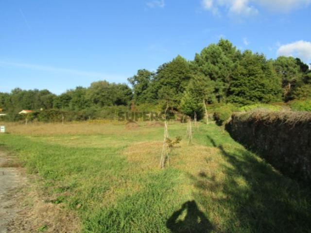 Terreno venda em Arga De Baixo, Viana Do Castelo