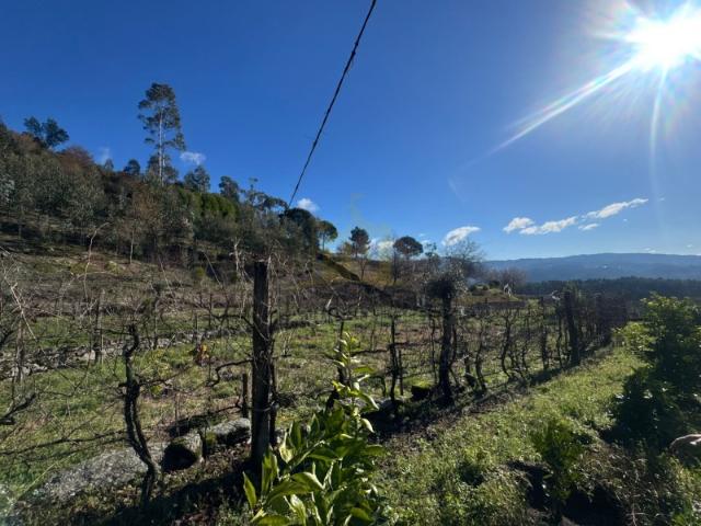 Terreno venda em Travassos, Póvoa de Lanhoso