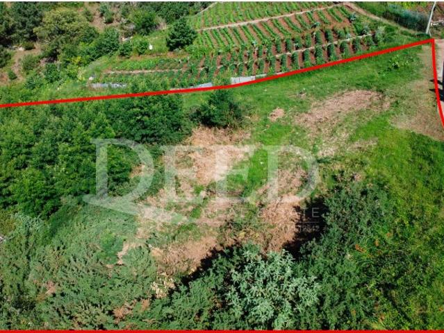 Terreno venda em Funchal, Ilha Da Madeira