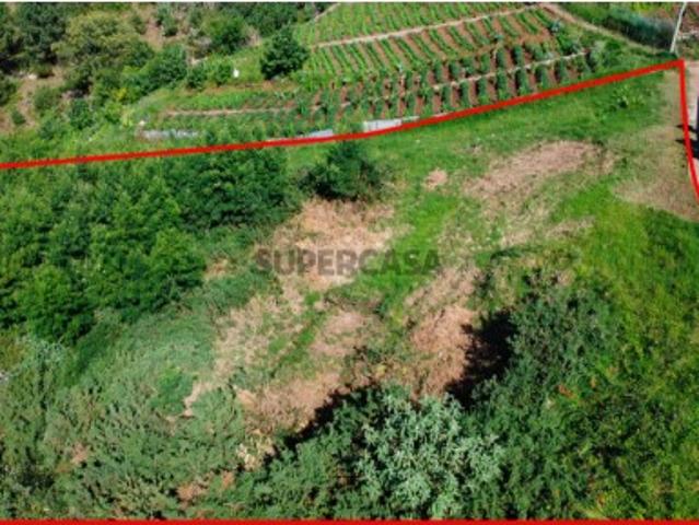 Terreno venda em Funchal, Ilha Da Madeira