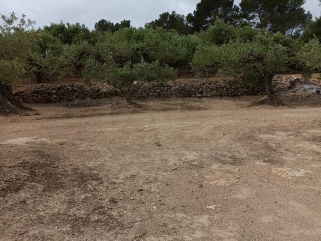 Terreno en venta en Baix Ebre, Catalunya