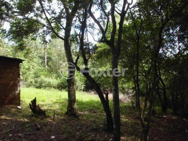 Terreno venda em Região Geográfica Imediata de Porto Alegre, Região Metropolitana de Porto Alegre