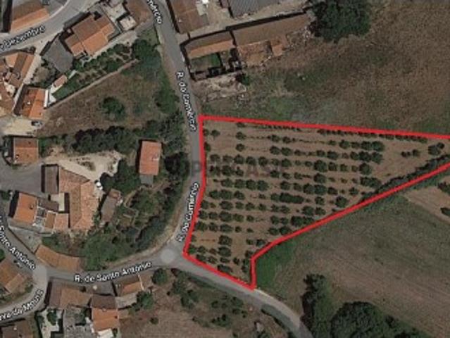 Terreno venda em Cadaval Terreno venda em Cadaval